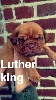 luther king devient layton
