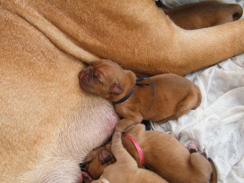 Bébé de Hawa et Aktarus