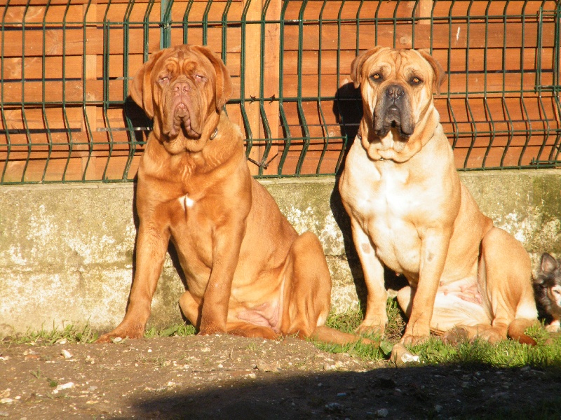 Ma Tribu